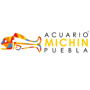 ACUARIO MICHIN